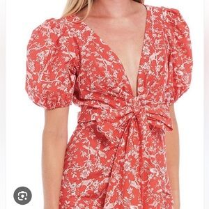 Sachin + Babi Courtney Dress in Coral Ivy